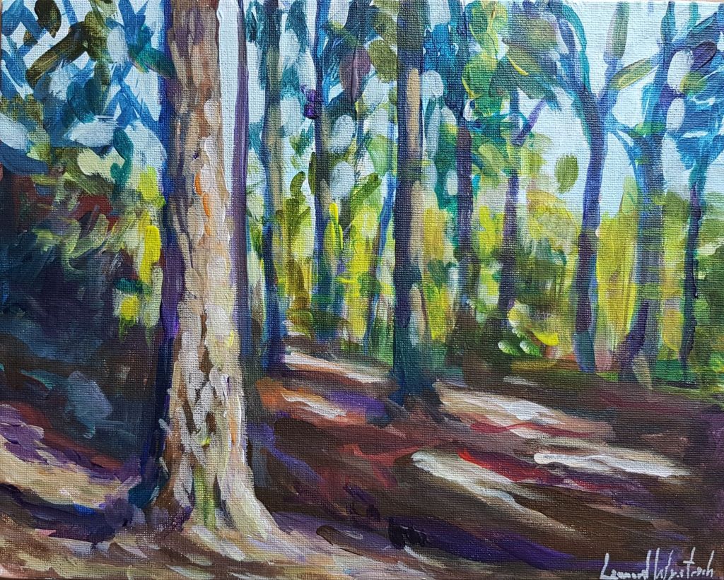 Sommerwald bei Darmstadt